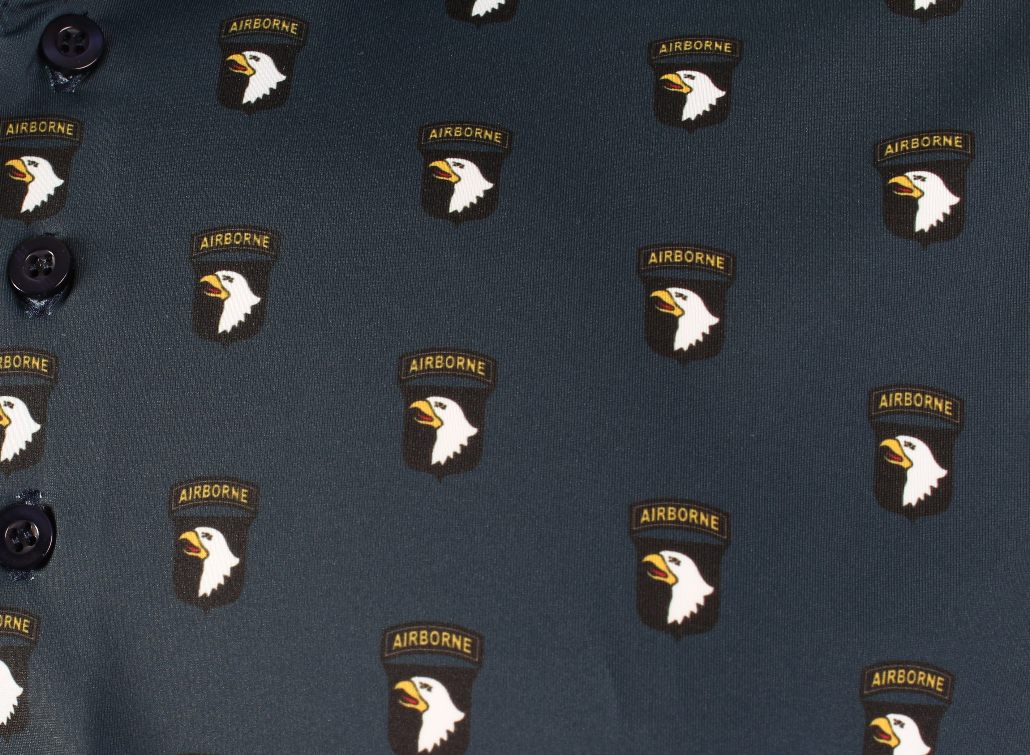101st Airborne Division — Screaming Eagles
